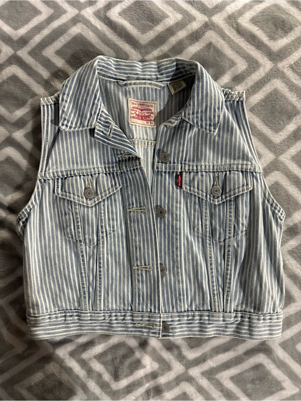 Levi's Blue and White Striped Denim Vest